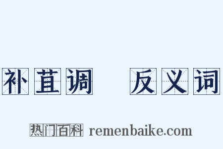 补苴调胹反义词是什么意思的图片